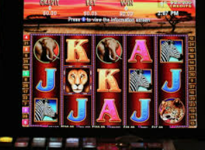 旺财28.ccpc29APP电脑免费版