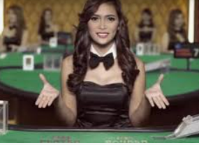 旺财28.ccpc29APP电脑免费版